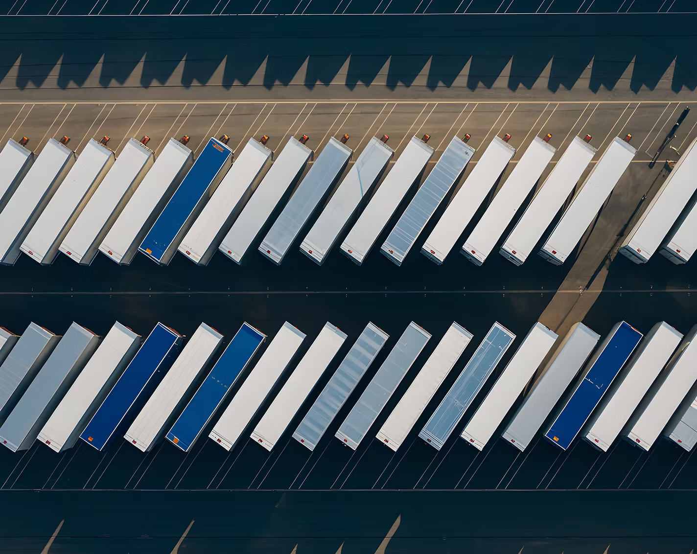Conveyor Belt Packages