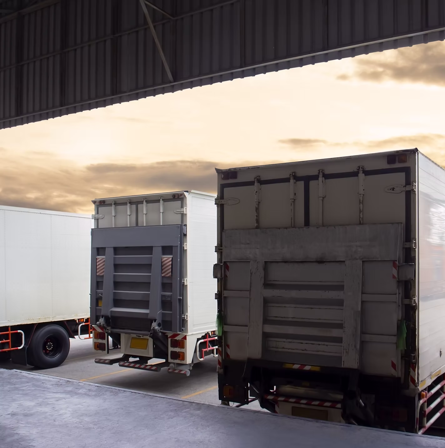 Warehouse Shelves